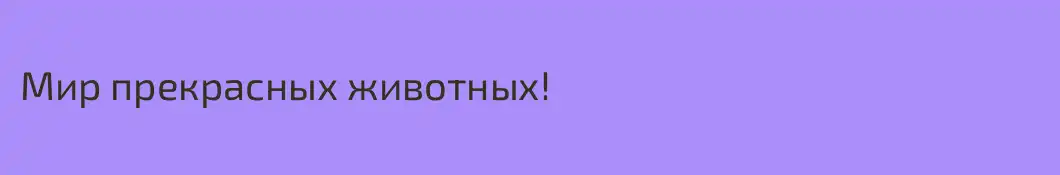 Мир прекрасных животных!